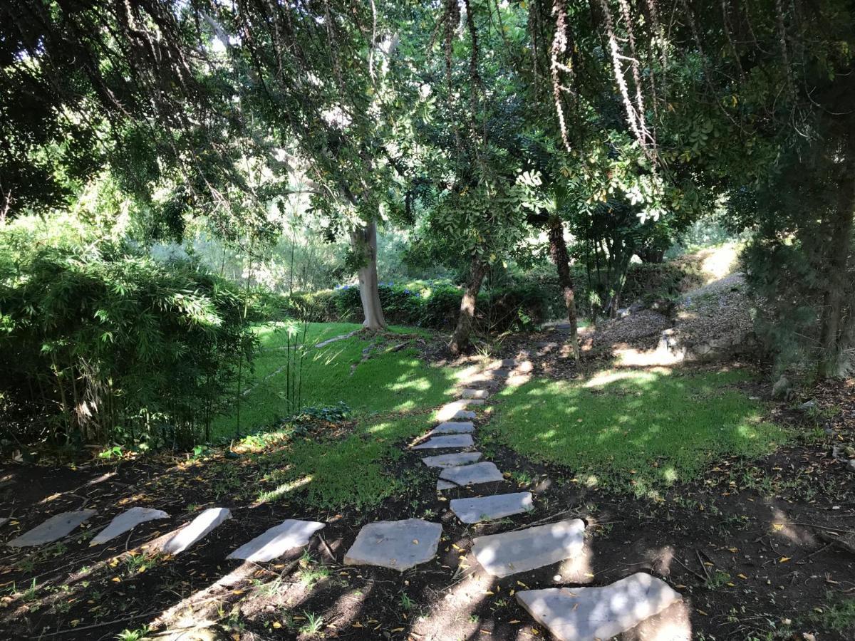 Villa Lámpara en la colina Benahavís Esterno foto